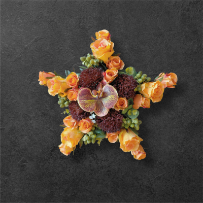 FH26 - Etoile orange 50€