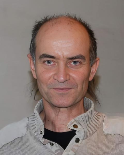 Denis LEMONSU